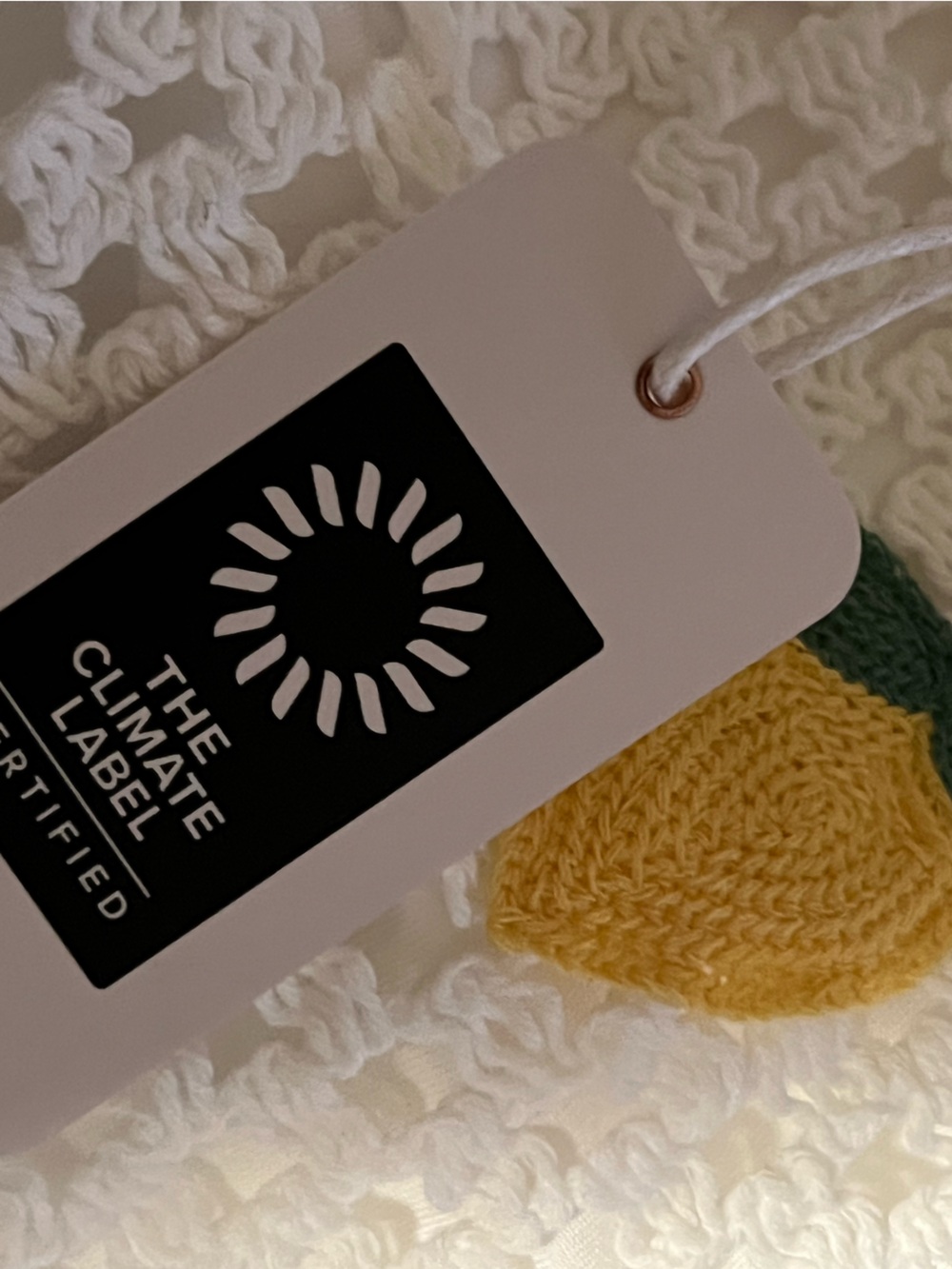 SAYLOR Blithe Crochet Shorts. - Picture 3 of 12